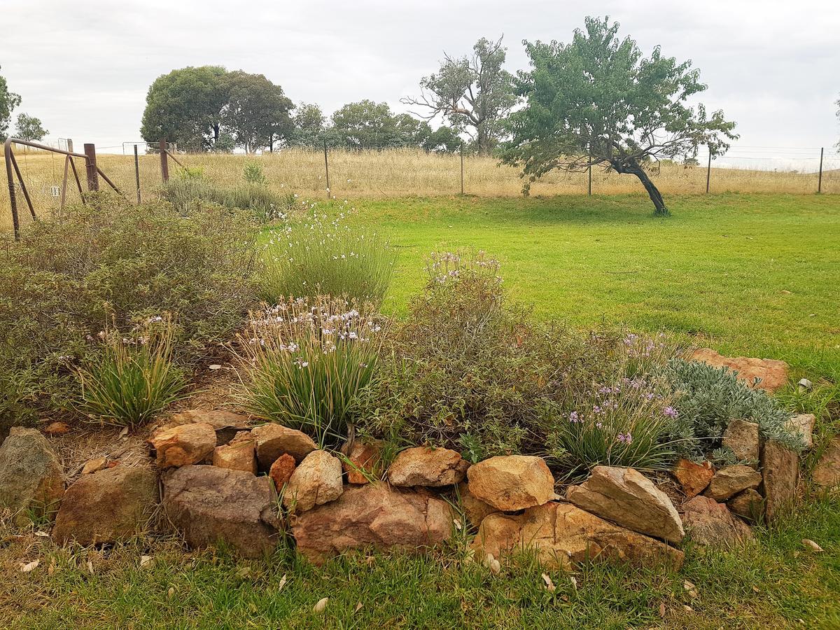 Wantana Cottage Farmstay Boorowa Ngoại thất bức ảnh